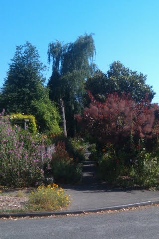 Tumblr_l5y13t0o5t1qcgirco1_400